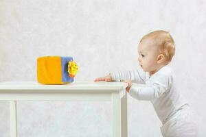 uma bebê menina do oito meses é comovente em uma cinzento fundo foto