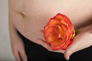 jovem grávida mulher mantém natural rosa Flor fechar para dela barriga. foto