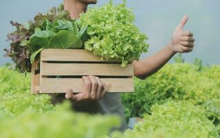 Visão do a atraente agricultor dentro uma estufa usando tábua foto