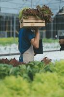 Visão do a atraente agricultor dentro uma estufa usando tábua foto