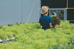 Visão do a atraente agricultor dentro uma estufa usando tábua foto