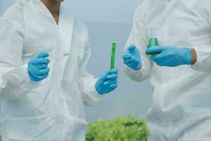 dois ásia agricultores inspecionando a qualidade do orgânico legumes crescido usando hidroponia. foto