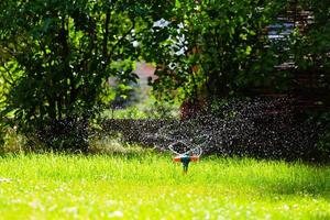 irrigador de jardim rotativo regando grama foto