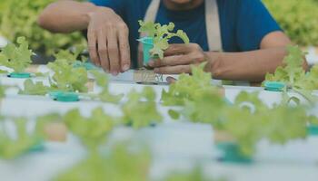 agricultores usar vernier pinças para a medida legumes para rastrear seus crescimento dentro plantar berçário Fazenda. inteligente agricultura tecnologia conceito. foto