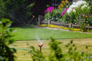 irrigador de jardim regando grama e flores foto