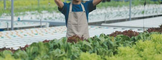 orgânico Fazenda ,trabalhador teste e coletar meio Ambiente dados a partir de bok choy orgânico vegetal às estufa Fazenda jardim. foto