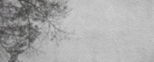 fundo de textura de parede de cimento branco com textura áspera de sombra de árvore foto