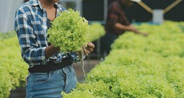 fêmea cientista examinando uma plantas dentro estufa Fazenda. cientistas segurando equipamento para pesquisa plantar dentro orgânico Fazenda. qualidade ao controle para hidroponia vegetal Fazenda. foto