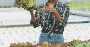 fêmea cientista examinando uma plantas dentro estufa Fazenda. cientistas segurando equipamento para pesquisa plantar dentro orgânico Fazenda. qualidade ao controle para hidroponia vegetal Fazenda. foto