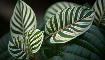 verde macro plantar traz frescor para natureza gerado de ai foto