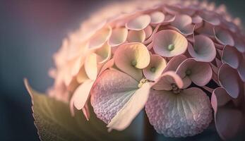 uma fechar acima do uma Rosa flor pétala gerado de ai foto