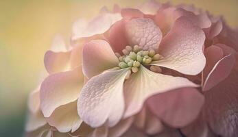 fechar acima do uma vibrante Rosa flor cabeça gerado de ai foto