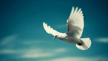 gracioso gaivota dentro meio ar, espalhando asas símbolo do liberdade gerado de ai foto