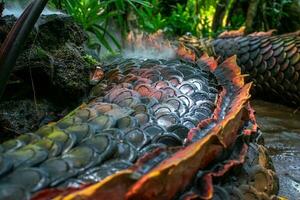 serpente rei do nagas dentro tailândia.naga ou serpente estátua foto