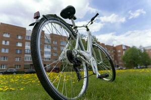 lindo à moda mulheres bicicleta branco em uma fundo do verde Relva foto