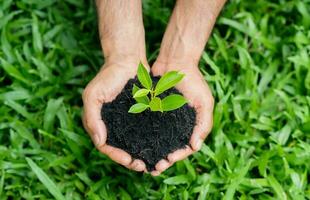 a homem mãos segurando uma solo e plantar. ambiental, terra dia, Salve  a terra conceito. foto