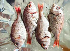 cozinhando fresco todo dorado peixe, uma receita para cozimento em frustrar dentro a forno com especiarias. foto