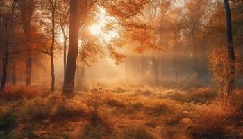outono mistério desdobra-se dentro tranquilo floresta, costas aceso de luz solar gerado de ai foto