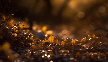 vibrante outono Prado brilha com ouro cores às crepúsculo gerado de ai foto
