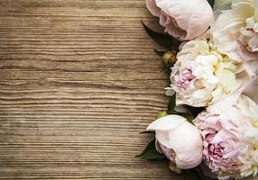 flores de peônia rosa como borda foto