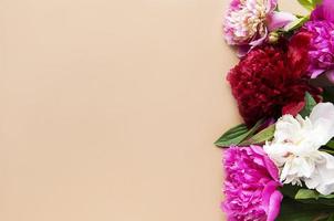 flores de peônia rosa como borda foto