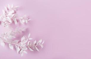 moldura de ramos brancos em um fundo rosa foto