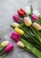 tulipas da primavera em um fundo de concreto