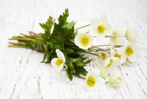 flores de anêmona em uma mesa foto