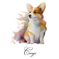 aguarela ilustração do uma solteiro cachorro procriar corgi. ai gerado. cachorro retrato. foto