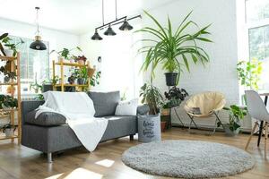 prateleiras com uma grupo do interior plantas dentro a interior quarto branco sótão, cinzento sofá, acolhedor xadrez, tapete. planta de casa crescendo e carinhoso para interior plantar, verde casa foto