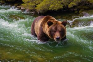 a poderoso urso. lindo grisalho urso. generativo ai foto