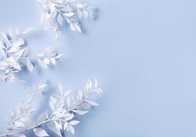 moldura de ramos brancos em um fundo azul foto