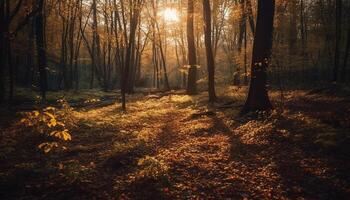 dourado luz solar ilumina outono floresta tranquilo beleza gerado de ai foto