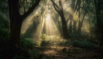 misterioso floresta, assustador névoa, tranquilo outono beleza gerado de ai foto