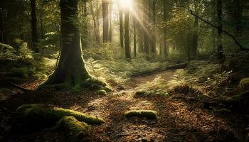 tranquilo trilha ventos através exuberante verde floresta gerado de ai foto