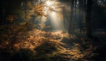 misterioso floresta dentro outono, assustador beleza abunda gerado de ai foto