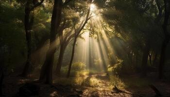 nascer do sol ilumina misterioso tropical região selvagem, assustador sombras demorar gerado de ai foto