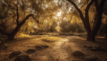 outono pôr do sol, tranquilo floresta beleza dentro natureza gerado de ai foto