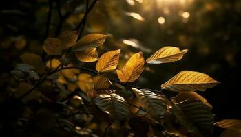 vibrante outono bordo árvore, ouro e laranja gerado de ai foto