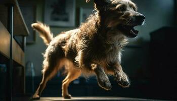 brincalhão cachorro corrida dentro luz solar, fiel amigo gerado de ai foto