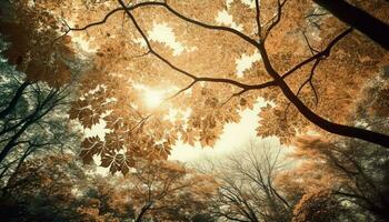 dourado folhas caindo, outono beleza iluminado de luz solar gerado de ai foto