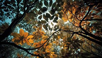 vibrante outono folhas iluminar tranquilo floresta cena gerado de ai foto