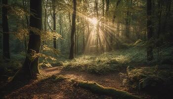 tranquilo cena do outono floresta dentro névoa gerado de ai foto