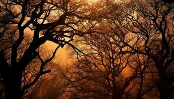 silhueta do árvore ramo costas aceso às pôr do sol gerado de ai foto