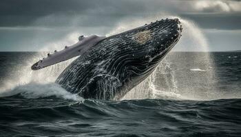 majestoso corcunda baleia violações, espirrando dentro a azul água gerado de ai foto