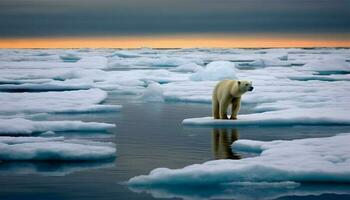 majestoso ártico mamífero flutua em azul reflexão do congeladas panorama gerado de ai foto
