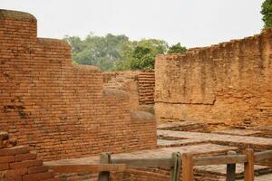 ruínas do nalanda universidade foto