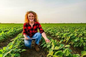 retrato do fêmea agricultor quem é cultivar soja. ela é satisfeito com Boa progresso do plantas. agrícola ocupação. foto