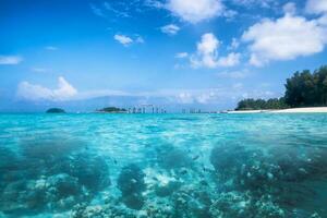 cristal mar com azul céu e escola peixe em Beira Mar foto