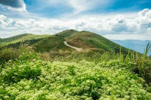 montanha Colina curva caminho foto